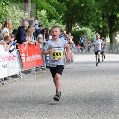 17.05.2025 - Störlauf Strokosch-Dieckow http://msf.ph/oto/7848684 17.05.2025 14:10:35 Ziel 2025, 688, 1373 meine-sportfotos.de
