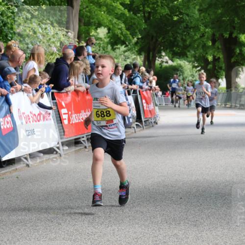 17.05.2025 - Störlauf Strokosch-Dieckow http://msf.ph/oto/7848686 17.05.2025 14:10:35 Ziel 688, 1373 meine-sportfotos.de