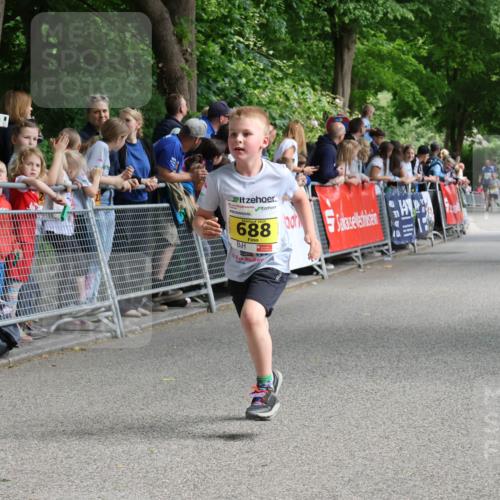 17.05.2025 - Störlauf Strokosch-Dieckow http://msf.ph/oto/7848688 17.05.2025 14:10:36 Ziel 688, 1373 meine-sportfotos.de