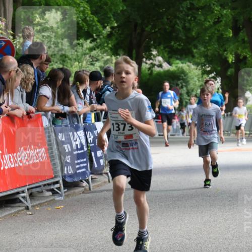 17.05.2025 - Störlauf Strokosch-Dieckow http://msf.ph/oto/7848691 17.05.2025 14:10:38 Ziel 40, 202, 1373 meine-sportfotos.de