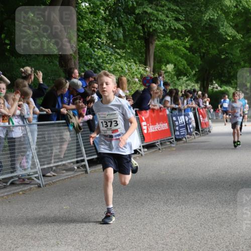 17.05.2025 - Störlauf Strokosch-Dieckow http://msf.ph/oto/7848695 17.05.2025 14:10:40 Ziel 1373, 31 meine-sportfotos.de