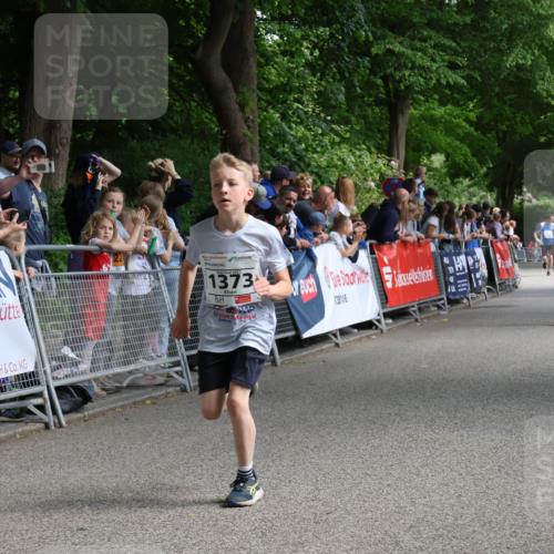 17.05.2025 - Störlauf Strokosch-Dieckow http://msf.ph/oto/7848697 17.05.2025 14:10:40 Ziel 1373 meine-sportfotos.de