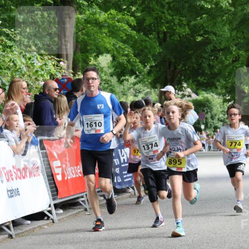 17.05.2025 - Störlauf Strokosch-Dieckow http://msf.ph/oto/7848709 17.05.2025 14:10:49 Ziel 1610, 40, 97, 1374, 895, 774 meine-sportfotos.de