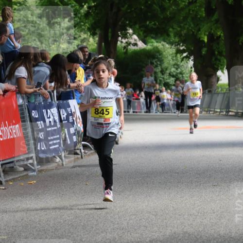 17.05.2025 - Störlauf Strokosch-Dieckow http://msf.ph/oto/7848721 17.05.2025 14:10:58 Ziel 40, 788, 845 meine-sportfotos.de