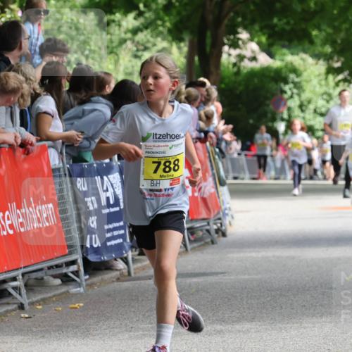 17.05.2025 - Störlauf Strokosch-Dieckow http://msf.ph/oto/7848727 17.05.2025 14:11:07 Ziel 40, 2025, 788 meine-sportfotos.de