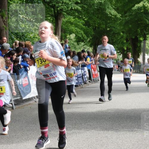 17.05.2025 - Störlauf Strokosch-Dieckow http://msf.ph/oto/7848743 17.05.2025 14:11:19 Ziel 691, 730, 926, 19920, 776, 888 meine-sportfotos.de