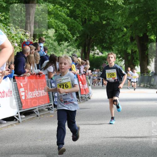 17.05.2025 - Störlauf Strokosch-Dieckow http://msf.ph/oto/7848755 17.05.2025 14:11:22 Ziel 2025, 85, 776, 720, 83 meine-sportfotos.de