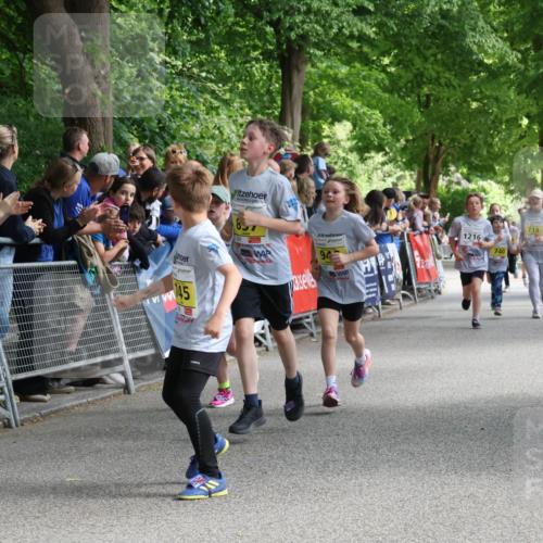 17.05.2025 - Störlauf Strokosch-Dieckow http://msf.ph/oto/7848794 17.05.2025 14:11:39 Ziel 145, 657, 90, 1216, 740, 695, 719 meine-sportfotos.de