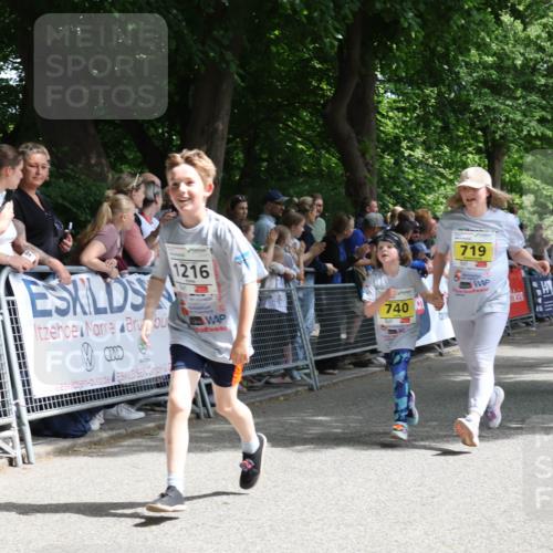 17.05.2025 - Störlauf Strokosch-Dieckow http://msf.ph/oto/7848816 17.05.2025 14:11:45 Ziel 35, 1216, 740, 719, 696 meine-sportfotos.de