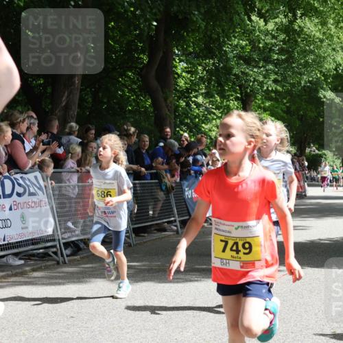 17.05.2025 - Störlauf Strokosch-Dieckow http://msf.ph/oto/7848831 17.05.2025 14:11:49 Ziel 686, 49, 2025, 749 meine-sportfotos.de