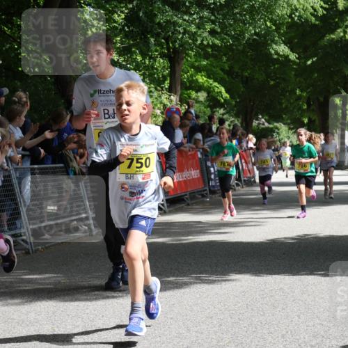 17.05.2025 - Störlauf Strokosch-Dieckow http://msf.ph/oto/7848842 17.05.2025 14:12:00 Ziel 699, 2025, 750, 786, 977 meine-sportfotos.de