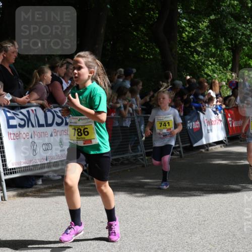 17.05.2025 - Störlauf Strokosch-Dieckow http://msf.ph/oto/7848845 17.05.2025 14:12:04 Ziel 786, 741, 971, 1945 meine-sportfotos.de