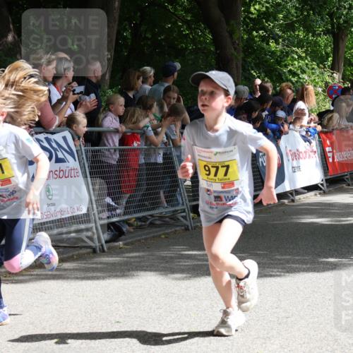 17.05.2025 - Störlauf Strokosch-Dieckow http://msf.ph/oto/7848849 17.05.2025 14:12:05 Ziel 2025, 741, 2025, 977, 945 meine-sportfotos.de