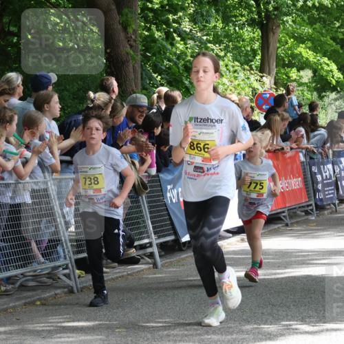 17.05.2025 - Störlauf Strokosch-Dieckow http://msf.ph/oto/7848859 17.05.2025 14:12:11 Ziel 2025, 866, 738, 775, 739 meine-sportfotos.de