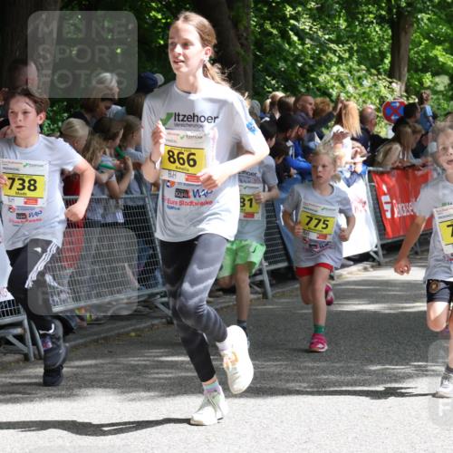 17.05.2025 - Störlauf Strokosch-Dieckow http://msf.ph/oto/7848864 17.05.2025 14:12:12 Ziel 738, 866, 81, 775, 2025, 739, 793 meine-sportfotos.de