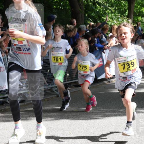 17.05.2025 - Störlauf Strokosch-Dieckow http://msf.ph/oto/7848866 17.05.2025 14:12:12 Ziel 781, 775, 2025, 739, 793 meine-sportfotos.de