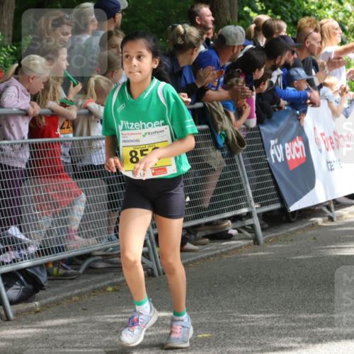 17.05.2025 - Störlauf Strokosch-Dieckow http://msf.ph/oto/7848881 17.05.2025 14:12:18 Ziel 224, 2025, 85 meine-sportfotos.de