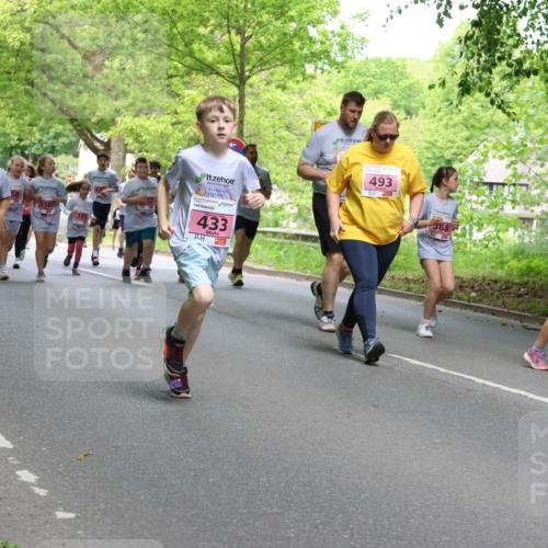 17.05.2025 - Störlauf Strokosch-Dieckow http://msf.ph/oto/7848882 17.05.2025 13:46:57 Laufen 559, 433, 493, 568, 47 meine-sportfotos.de