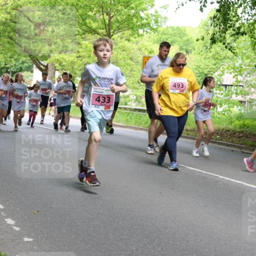 17.05.2025 - Störlauf Strokosch-Dieckow http://msf.ph/oto/7848886 17.05.2025 13:46:57 Laufen 417, 559, 556, 381, 433, 493 meine-sportfotos.de