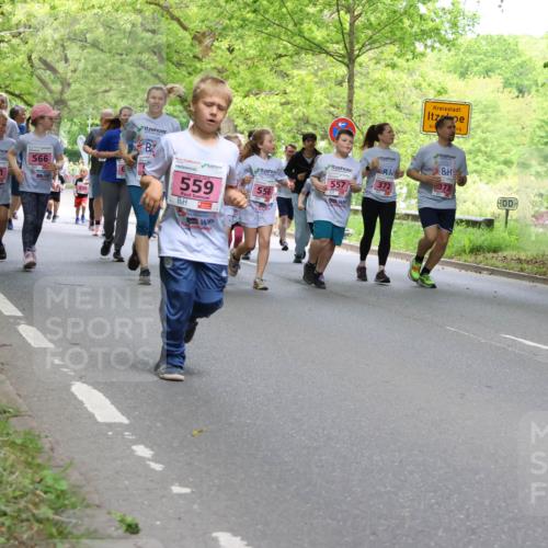 17.05.2025 - Störlauf Strokosch-Dieckow http://msf.ph/oto/7848890 17.05.2025 13:46:58 Laufen 408, 561, 566, 559, 557, 556 meine-sportfotos.de