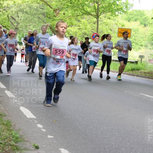17.05.2025 - Störlauf Strokosch-Dieckow http://msf.ph/oto/7848894 17.05.2025 13:46:58 Laufen 408, 56, 557, 372, 566, 559, 556 meine-sportfotos.de