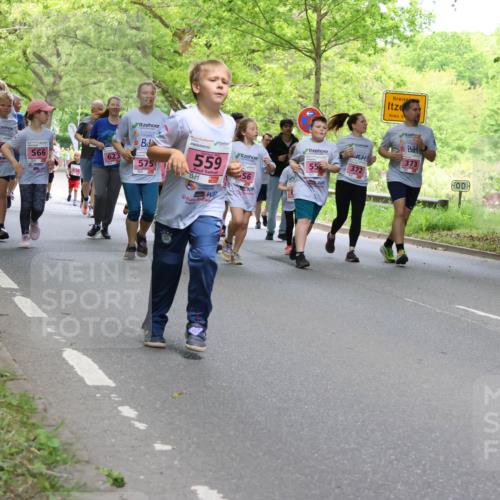 17.05.2025 - Störlauf Strokosch-Dieckow http://msf.ph/oto/7848897 17.05.2025 13:46:59 Laufen 408, 641, 50, 566, 623, 11, 575, 559, 373, 55, 372, 56 meine-sportfotos.de