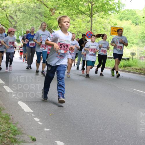 17.05.2025 - Störlauf Strokosch-Dieckow http://msf.ph/oto/7848901 17.05.2025 13:46:59 Laufen 408, 50, 566, 623, 575, 62, 559, 373, 557, 372 meine-sportfotos.de