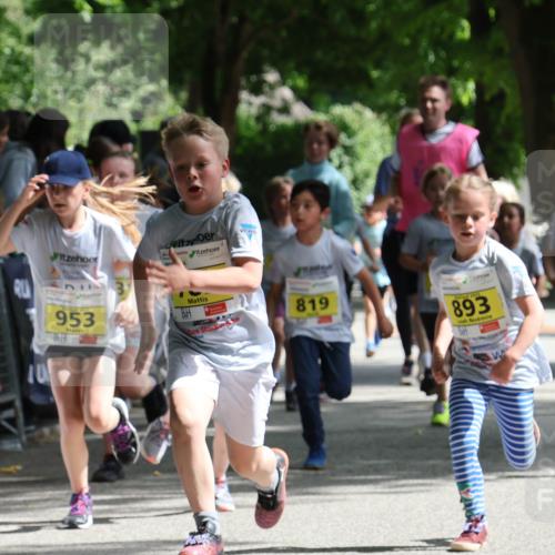17.05.2025 - Störlauf Strokosch-Dieckow http://msf.ph/oto/7848929 17.05.2025 14:12:51 Ziel 40, 953, 819, 893, 68, 835 meine-sportfotos.de