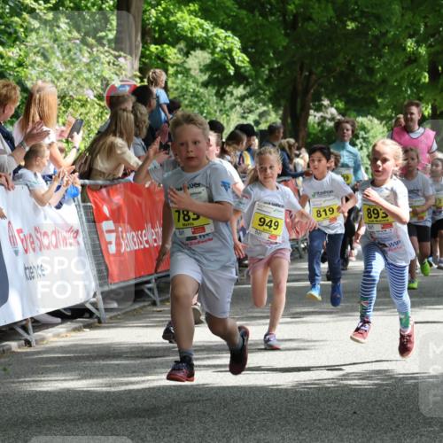 17.05.2025 - Störlauf Strokosch-Dieckow http://msf.ph/oto/7848931 17.05.2025 14:12:51 Ziel 7, 785, 949, 819, 99, 895, 835 meine-sportfotos.de