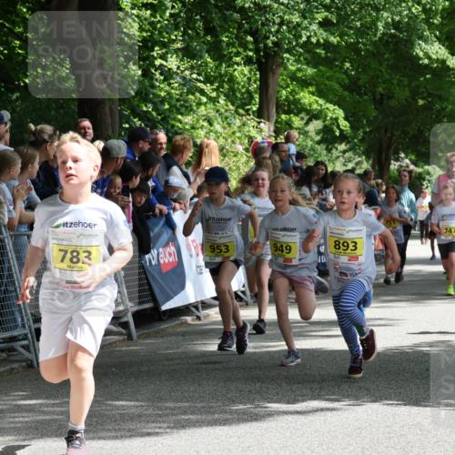 17.05.2025 - Störlauf Strokosch-Dieckow http://msf.ph/oto/7848935 17.05.2025 14:12:52 Ziel 783, 893, 747, 83, 934, 953, 949 meine-sportfotos.de