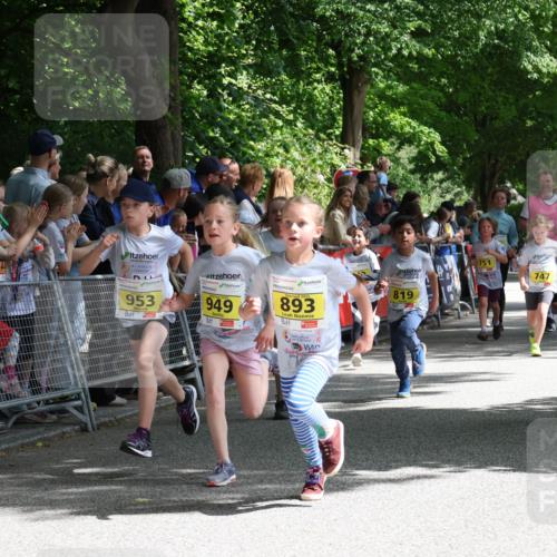 17.05.2025 - Störlauf Strokosch-Dieckow http://msf.ph/oto/7848937 17.05.2025 14:12:52 Ziel 953, 949, 893, 751, 747, 819, 889, 934 meine-sportfotos.de