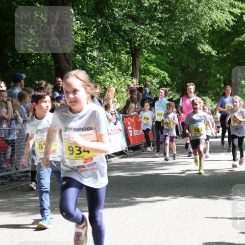 17.05.2025 - Störlauf Strokosch-Dieckow http://msf.ph/oto/7848948 17.05.2025 14:12:54 Ziel 8, 934, 848, 909, 751, 747, 889, 8, 714 meine-sportfotos.de
