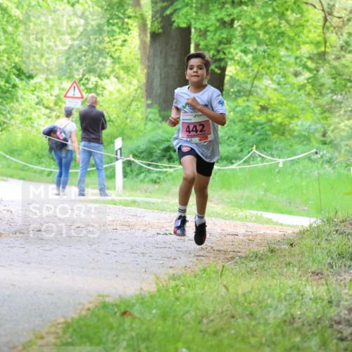 17.05.2025 - Störlauf Strokosch-Dieckow http://msf.ph/oto/7848994 17.05.2025 13:52:45 Laufen 442 meine-sportfotos.de