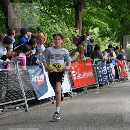 17.05.2025 - Störlauf Strokosch-Dieckow http://msf.ph/oto/7848997 17.05.2025 14:13:19 Ziel 2025, 951, 960, 867, 777, 884 meine-sportfotos.de