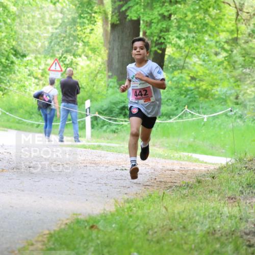 17.05.2025 - Störlauf Strokosch-Dieckow http://msf.ph/oto/7848998 17.05.2025 13:52:45 Laufen 442 meine-sportfotos.de