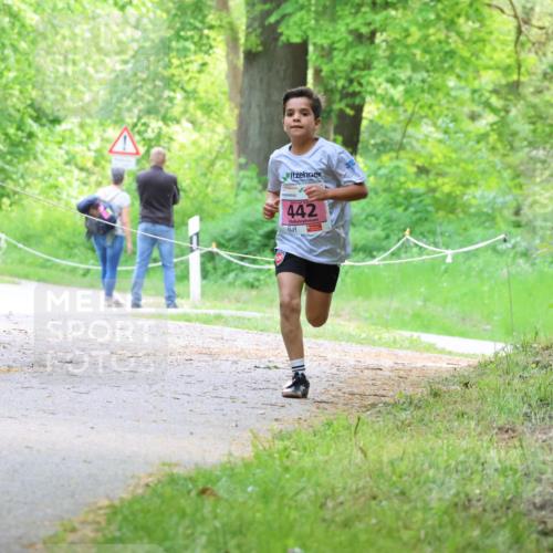 17.05.2025 - Störlauf Strokosch-Dieckow http://msf.ph/oto/7849002 17.05.2025 13:52:45 Laufen 442 meine-sportfotos.de