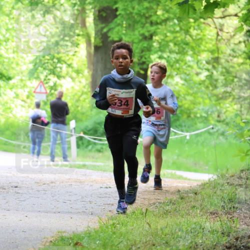 17.05.2025 - Störlauf Strokosch-Dieckow http://msf.ph/oto/7849018 17.05.2025 13:52:53 Laufen 34 meine-sportfotos.de