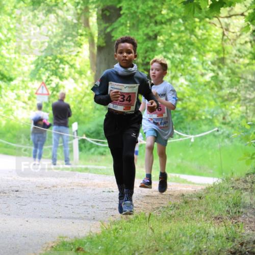 17.05.2025 - Störlauf Strokosch-Dieckow http://msf.ph/oto/7849022 17.05.2025 13:52:53 Laufen 34 meine-sportfotos.de