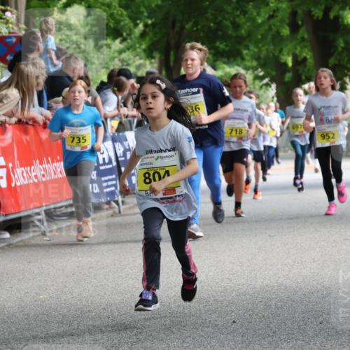 17.05.2025 - Störlauf Strokosch-Dieckow http://msf.ph/oto/7849052 17.05.2025 14:13:40 Ziel 735, 2025, 804, 36, 718, 952 meine-sportfotos.de