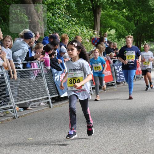 17.05.2025 - Störlauf Strokosch-Dieckow http://msf.ph/oto/7849056 17.05.2025 14:13:42 Ziel 2025, 804, 735, 31, 40, 13, 736, 718, 698, 952 meine-sportfotos.de
