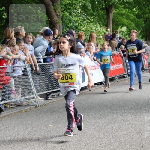 17.05.2025 - Störlauf Strokosch-Dieckow http://msf.ph/oto/7849057 17.05.2025 14:13:42 Ziel 2025, 804, 735, 40, 73, 718, 698, 952 meine-sportfotos.de