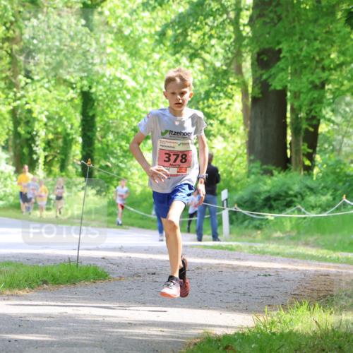 17.05.2025 - Störlauf Strokosch-Dieckow http://msf.ph/oto/7849060 17.05.2025 13:53:08 Laufen 378 meine-sportfotos.de