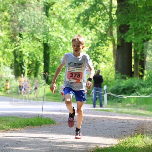 17.05.2025 - Störlauf Strokosch-Dieckow http://msf.ph/oto/7849072 17.05.2025 13:53:08 Laufen 378 meine-sportfotos.de