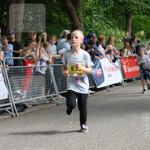 17.05.2025 - Störlauf Strokosch-Dieckow http://msf.ph/oto/7849106 17.05.2025 14:13:56 Ziel 93, 897, 742 meine-sportfotos.de