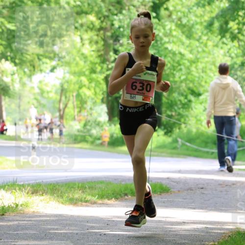 17.05.2025 - Störlauf Strokosch-Dieckow http://msf.ph/oto/7849156 17.05.2025 13:53:35 Laufen 2025, 630, 503 meine-sportfotos.de