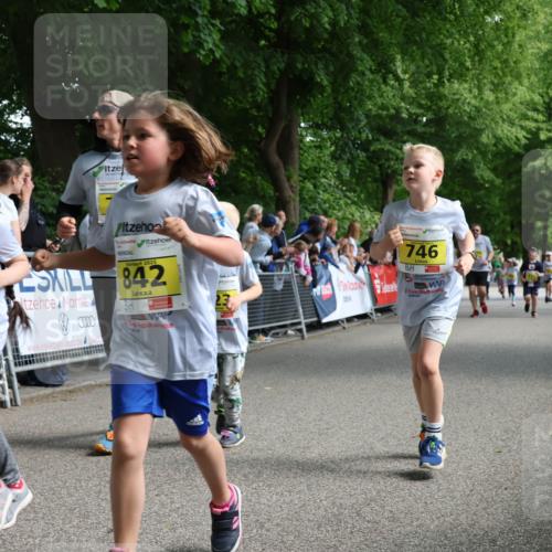 17.05.2025 - Störlauf Strokosch-Dieckow http://msf.ph/oto/7849160 17.05.2025 14:14:15 Ziel 83, 2025, 839, 2025, 842, 23, 746 meine-sportfotos.de