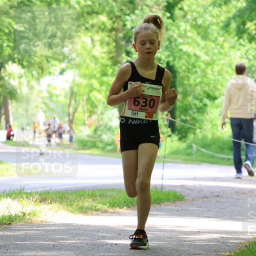 17.05.2025 - Störlauf Strokosch-Dieckow http://msf.ph/oto/7849165 17.05.2025 13:53:35 Laufen 2025, 630, 503 meine-sportfotos.de