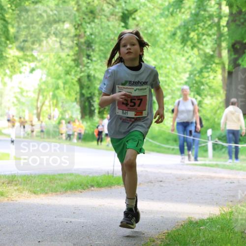 17.05.2025 - Störlauf Strokosch-Dieckow http://msf.ph/oto/7849197 17.05.2025 13:53:47 Laufen 2025, 457, 643 meine-sportfotos.de