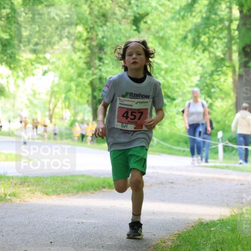 17.05.2025 - Störlauf Strokosch-Dieckow http://msf.ph/oto/7849205 17.05.2025 13:53:48 Laufen 457 meine-sportfotos.de