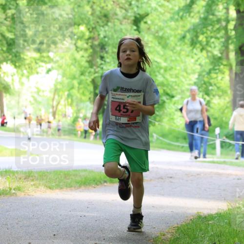 17.05.2025 - Störlauf Strokosch-Dieckow http://msf.ph/oto/7849209 17.05.2025 13:53:48 Laufen 45, 645 meine-sportfotos.de
